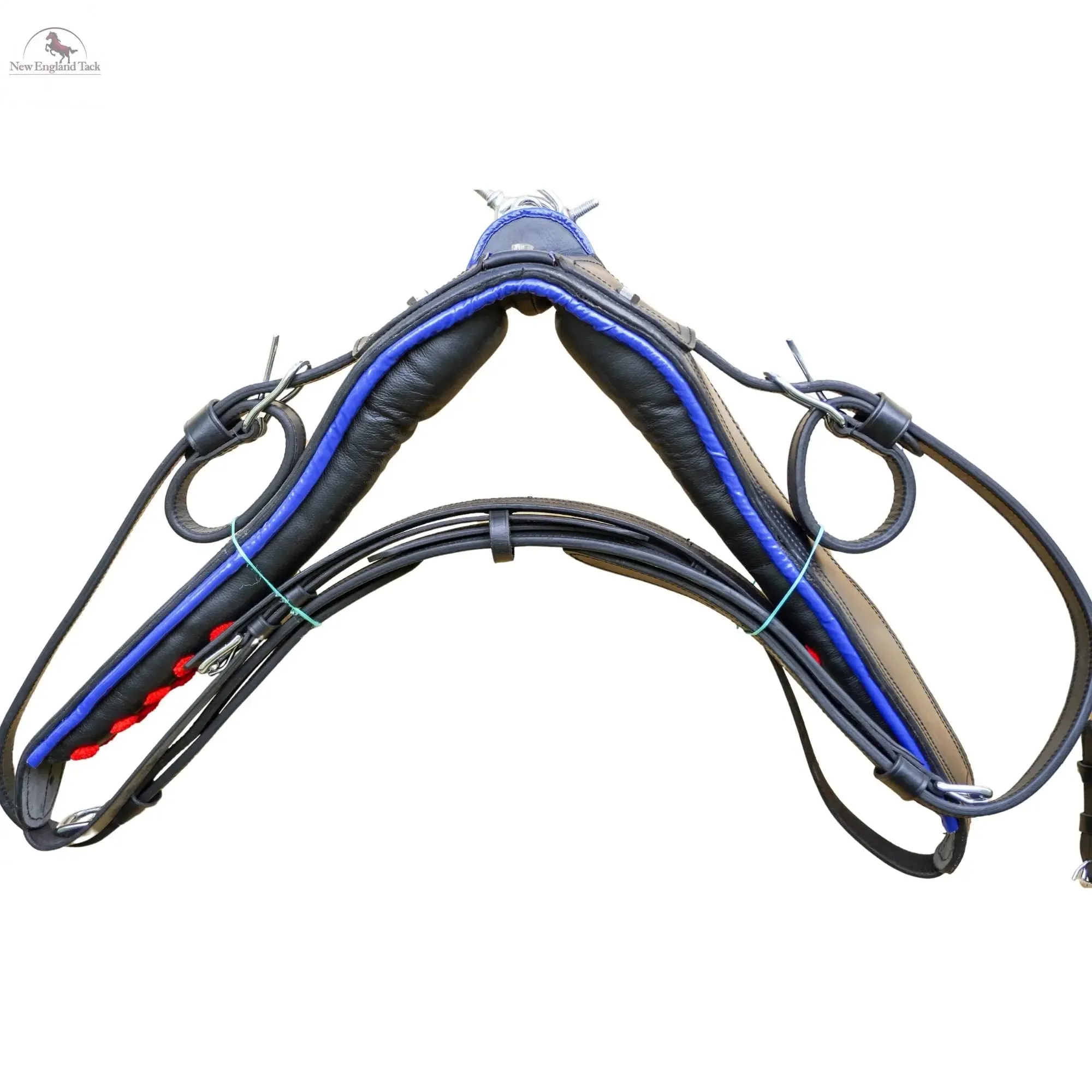 Black Horse Patent Leather Driving Harness Blue Trim Set Available In Miniature Small Pony Cob and Full Horse