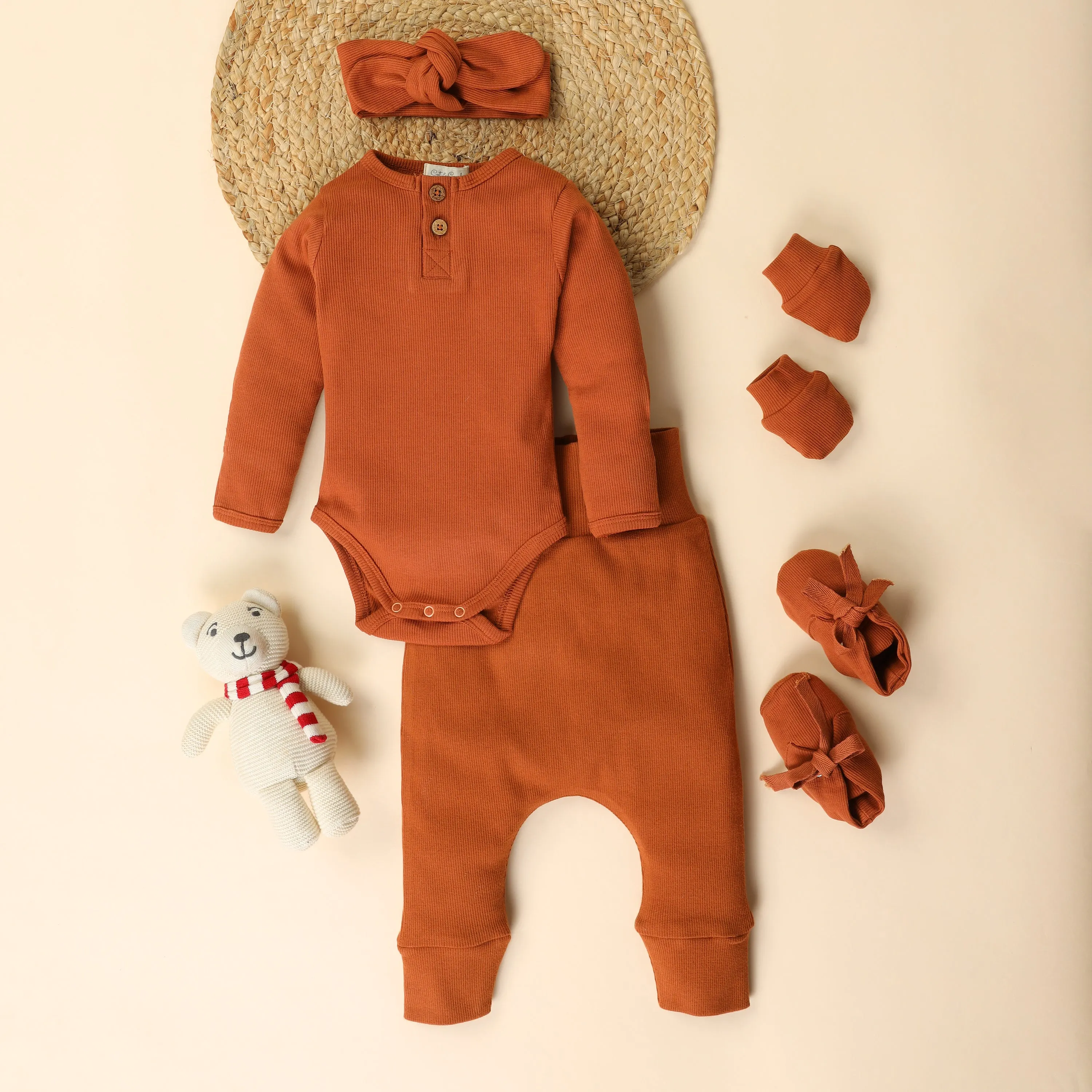 Ginger Organic Full Sleeve Bodysuit - Pack Of 5