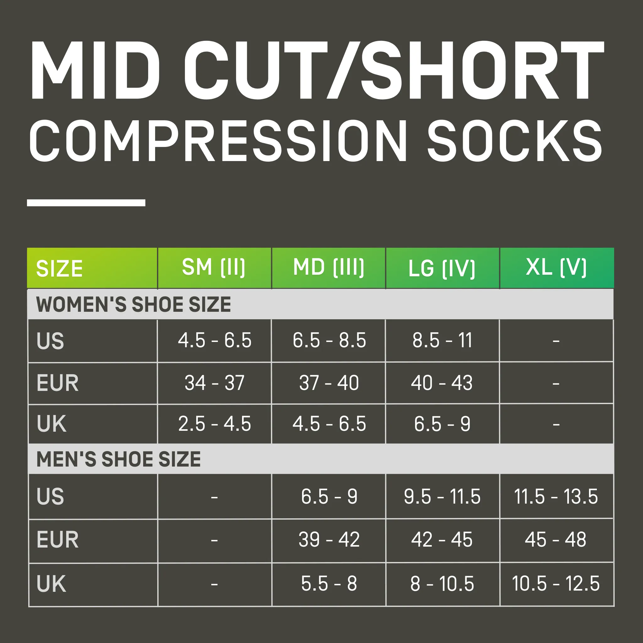 The Run Compression Mid Cut Socks 4.0, Men
